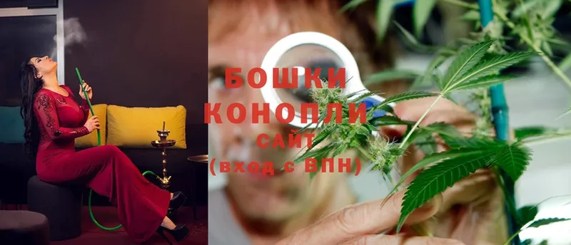 хочу наркоту  Киров  Конопля White Widow 